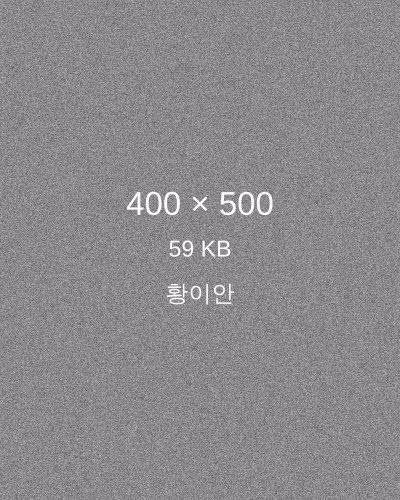 황이안 프로필