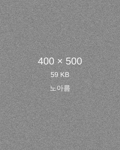 노아름 프로필