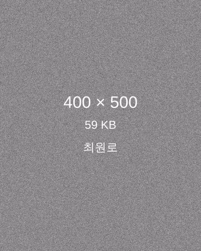 최원로 프로필