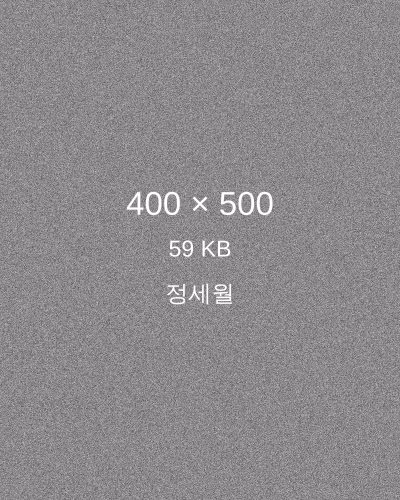 정세월 프로필